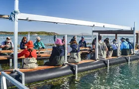 Oyster Farm Tour with Hotel Pick-up and return from Port Lincoln