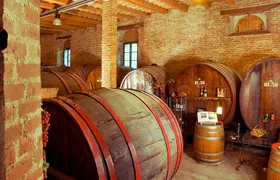 Wine Tour and Tasting at Le Marche's Oldest Wine Estate