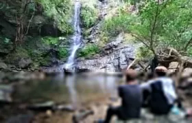 Okinawa Jungle Trails & Waterfalls – Private Yanbaru Tour