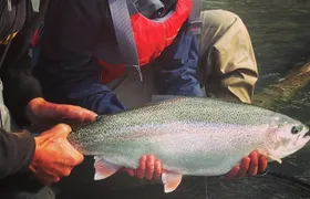 Full day fishing trips