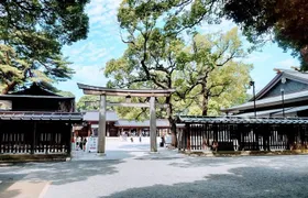 Private Day Tour of Tokyo Shrine for Oharai Yakubarai