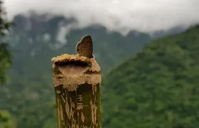 4D/3N Glimpse of Meghalaya