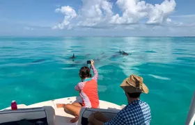 Half Day Private Boat Tour