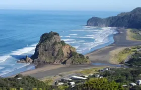 Afternoon Piha Beach and Rainforest Tour from Auckland