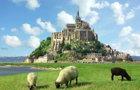 Normandy to Mont-Saint-Michel : Private Tour