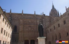 Must see Salamanca Walking Tour (could be billingual)