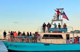 Frisky Mermaid dolphin tour at Pensacola Beach