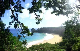 Costa dos Mirantes guided tour