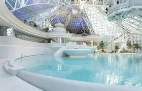 Caldea Classic access ticket