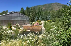Aspen's Off the Beaten Path Tour