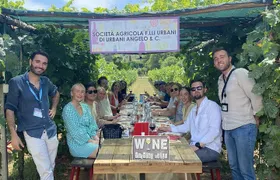 Tuscan Wine Tour in Lucca by van