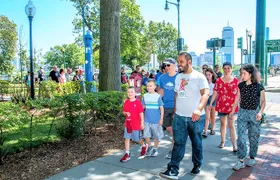 MIT Campus Guided Walking Tour