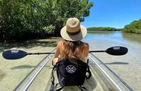 Clear Kayak Tour of Shell Key Preserve and Tampa Bay Area