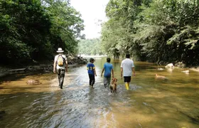 Napo Province primary rainforest guided tour with a local