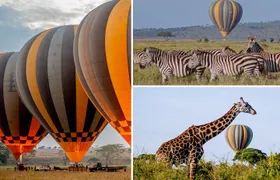 Balloon Safari & Bush Breakfast in Serengeti - Miracle Experience