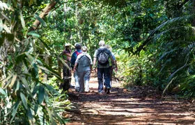 Sri Lanka rainforest two-day tour in Sinharaja Eco Lodge