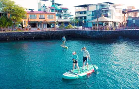 SUPER BAY