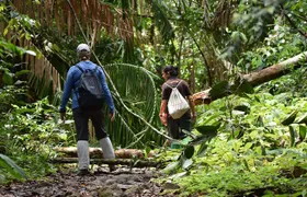 Sinharaja Rain Forest Tour from Tangalle