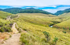 Day Trip to Horton Plains and Tea Estate in Nuwara Eliya
