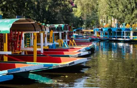 Xochimilco, Coyoacán and Frida Kahlo Guided Tour