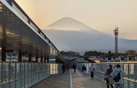 Private Car Mt Fuji and Gotemba Outlet in One Day from Tokyo