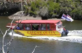 Kalgan Queen Scenic Cruises a four hour sheltered water wildlife tour daily fun.