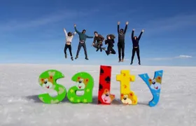  Salar de Uyuni 1 day + photo session + Sunset (spanish)