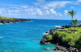 Rainforest Tour to Hana and Beyond