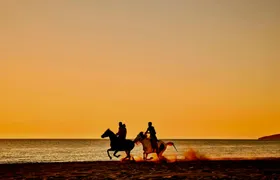 Guided horseback ride in Durrës countryside and beaches