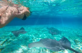 Exclusive Early Bird Komodo Tour: Beat the Crowds by Speed Boat