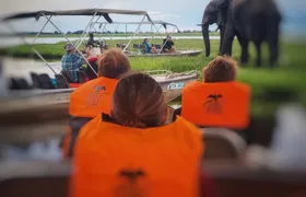 chobe 3hr sunset boat cruise
