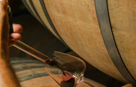 Backstage Brunello and Gourmet Wine-Food Tasting in Montalcino