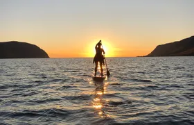 Wakeboarding/Waterskiing and Paddle boarding in Westfjords