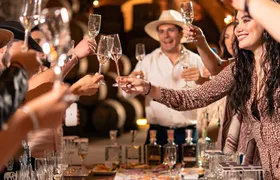 Vip Tequila Experience