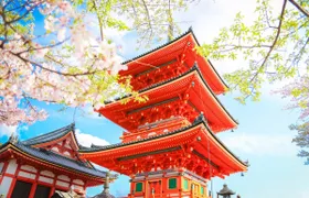 1-day tour to Kyoto and Nara Park from Osaka