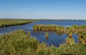 River cruise through the Ebro Delta river