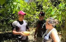 Bribri Magic Chocolate and Waterfall Experience