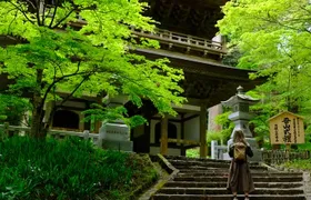 Forest Bathing in Temple and Enjoy onsen with healing power
