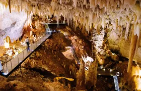 Jewel Cave Fully-guided Tour (Located in Western Australia)