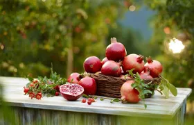 Visit to an Organic Farm in Cumbum Valley with Bullock Cart ride