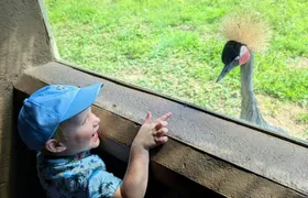Newquay Zoo entrance ticket