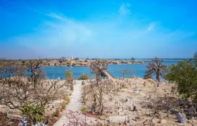 Fadiouth seashell island guided tour from Somone