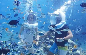 Bali Sea Walker Water Sport Nusadua