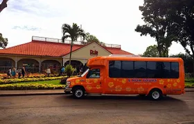 Majestic Circle Island Tour with Lunch