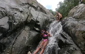 El Yunque Rainforest adventure with transportation