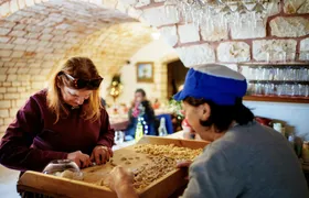 Apulian cooking class and dinner