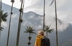 Cocora Valley and Salento Horseback Riding Day Tour
