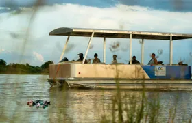 Nyerere National Park two-day safari with bush walk and boat cruise