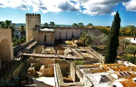 Guided walking tour of Jerez with Alcazar visit