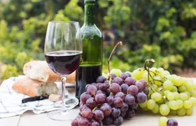 Niagara Bench: A Wine Journey to Ontario’s Best Kept Secrets